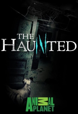 watch The Haunted movies free online