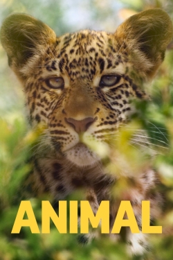 watch Animal movies free online