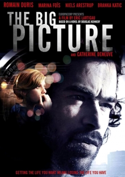 watch The Big Picture movies free online