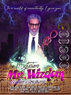 watch The Mysterious Mr. Wizdom movies free online