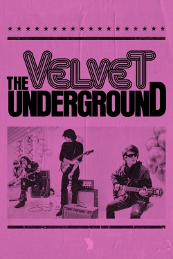 watch The Velvet Underground movies free online