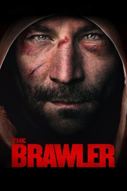 watch The Brawler movies free online