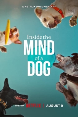 watch Inside the Mind of a Dog movies free online