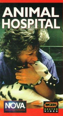 watch Animal Hospital movies free online