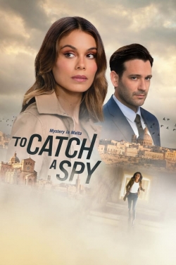 watch To Catch a Spy movies free online