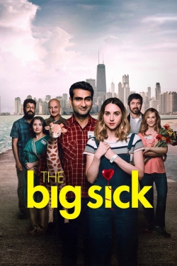 watch The Big Sick movies free online