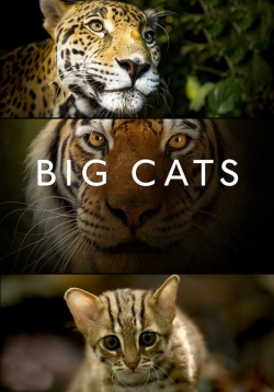 watch Big Cats movies free online