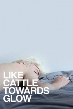 watch Like Cattle Towards Glow movies free online