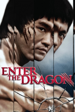 watch Enter the Dragon movies free online