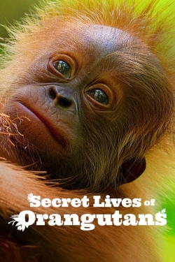 watch Secret Lives of Orangutans movies free online