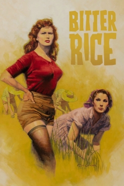 watch Bitter Rice movies free online