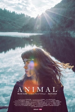 watch Animal movies free online