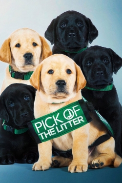 watch Pick of the Litter movies free online